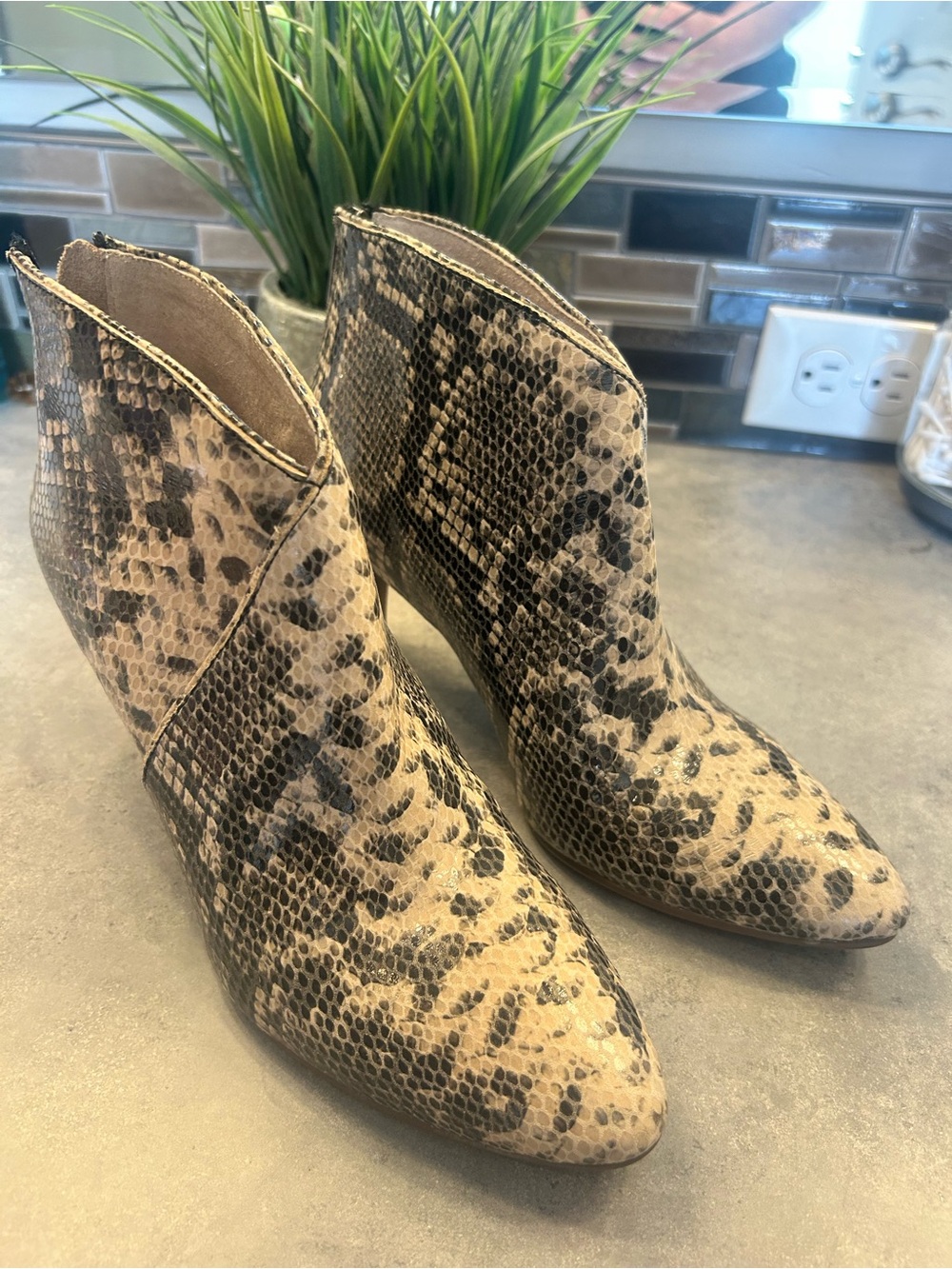 Seychelles Snake-Print Ankle Booties in Beige and Black